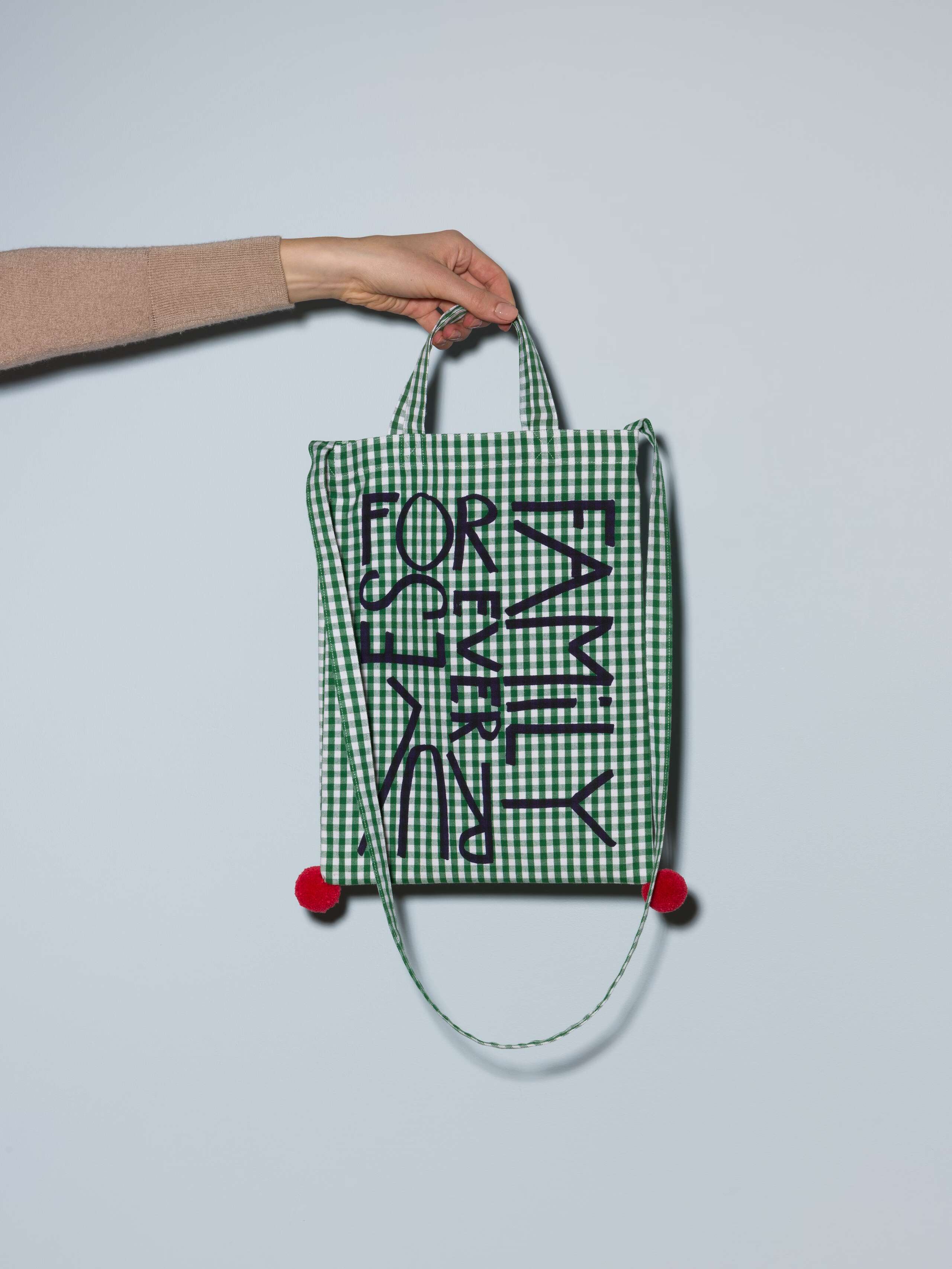 Picture of a small tote bag featuring a beautiful green vichy check pattern and a screen printed motto in blue saying "family rules forever"