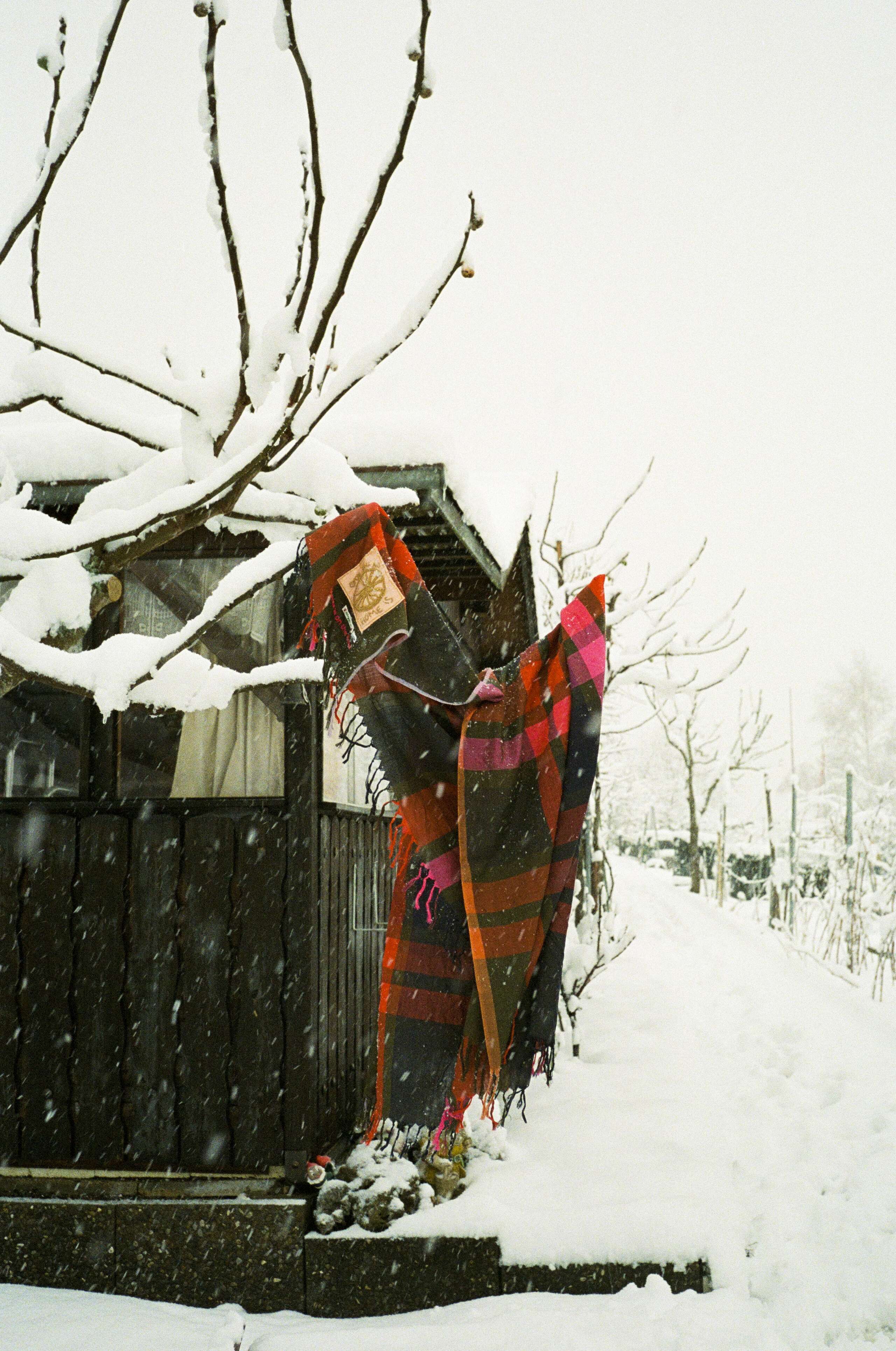 enSoie check scarf